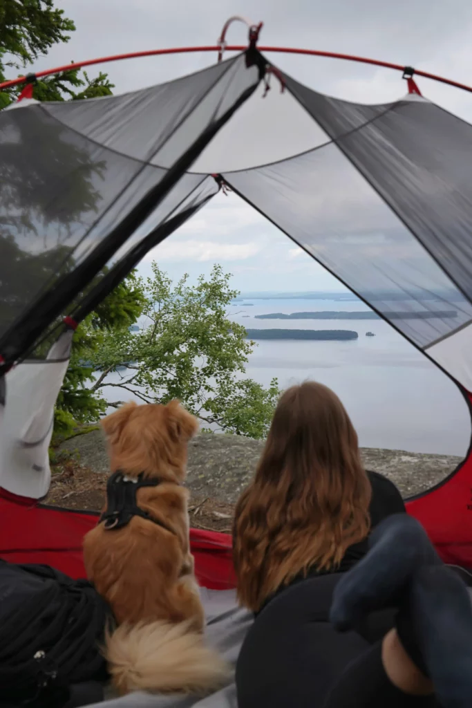 Erika Katainen camping with a dog